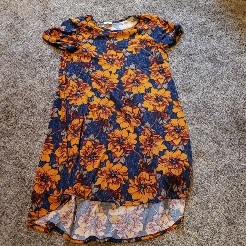 LulaRoe Carly Dress